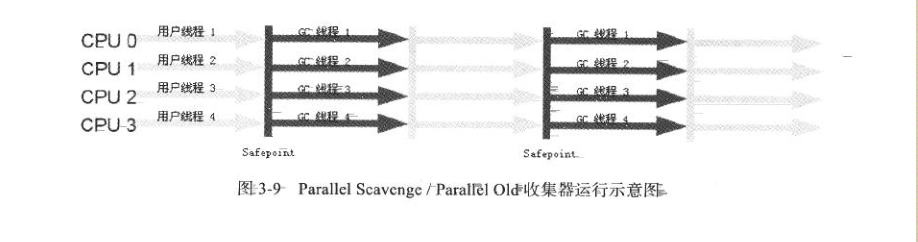 结果显示