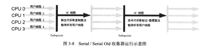 结果显示