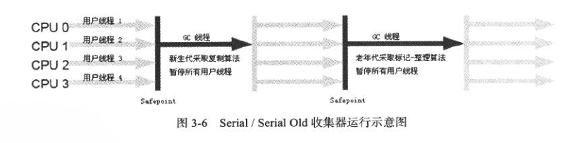 结果显示